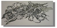 Black and White Drawings -  Light Touch Thumbnail.